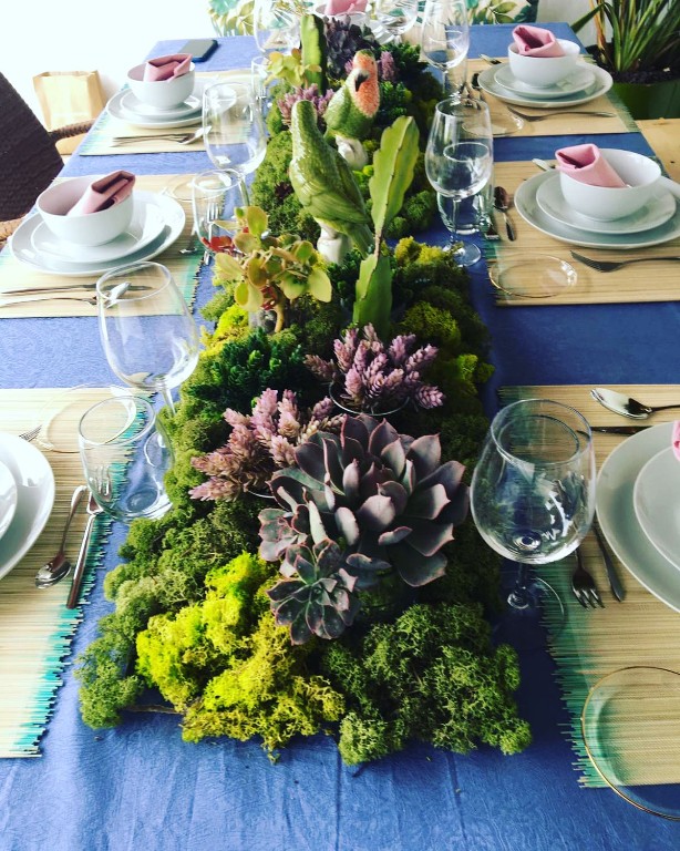 Imagen Galería: 